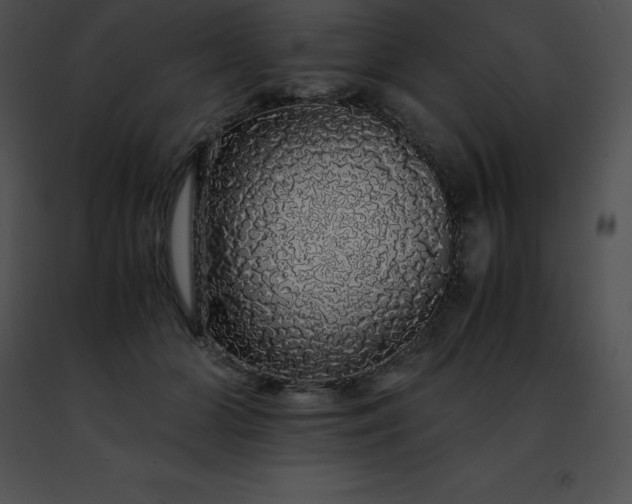 X0000091490510200708301939