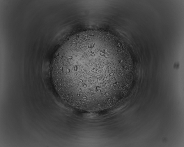 X0000091490511200708301939