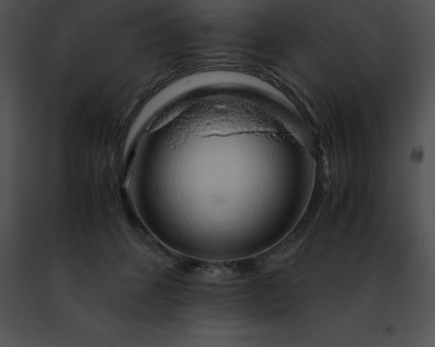 X0000091490512200708301939