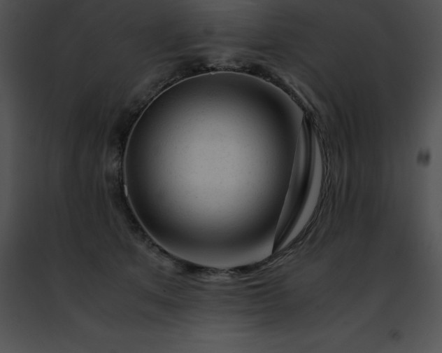 X0000091490513200708301938