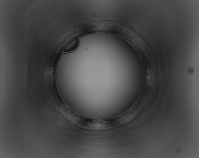 X0000091490514200708301938