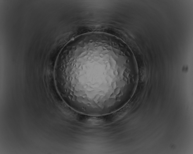 X0000091490515200708301938