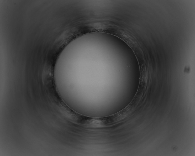 X0000091490518200708301938