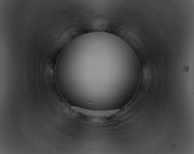 X0000091490522200708301938