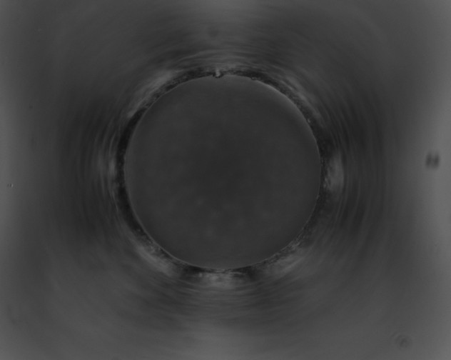 X0000091490524200708301938