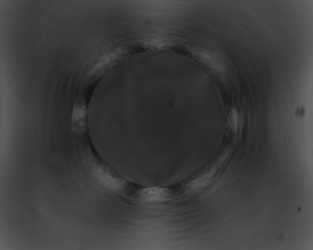 X0000091490526200708301938