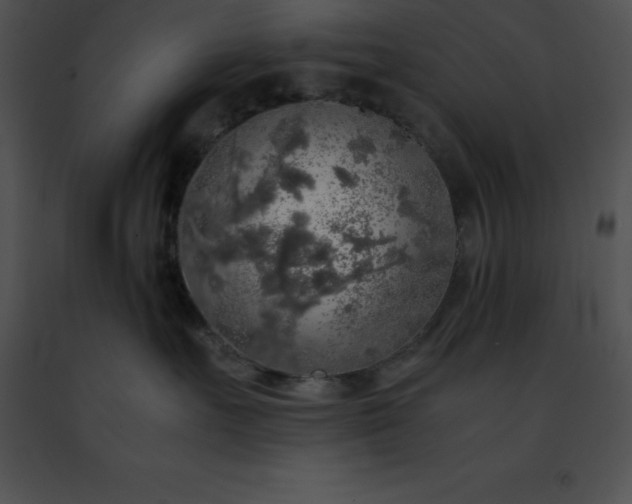 X0000091490527200708301938