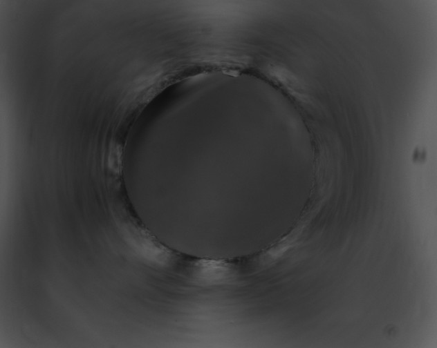 X0000091490528200708301938