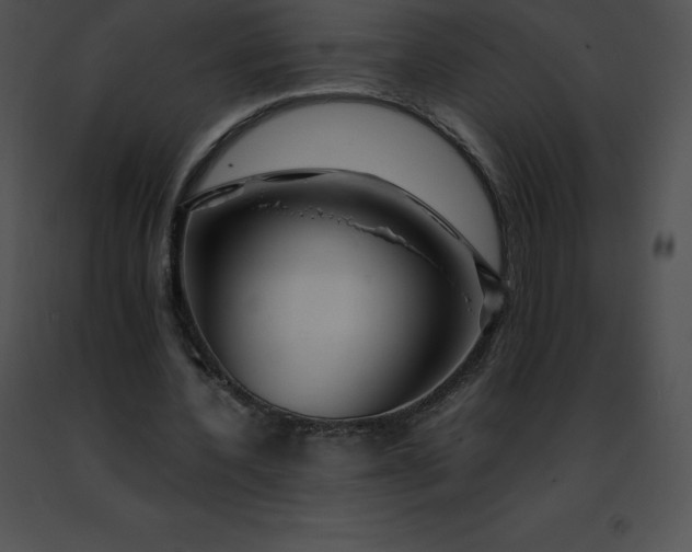 X0000091490532200708301938