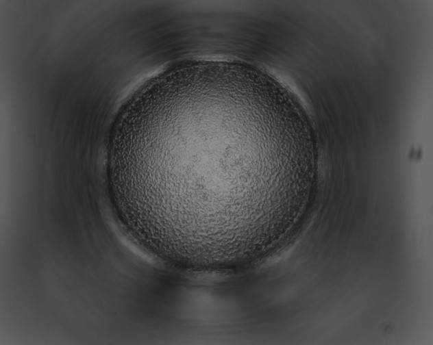 X0000091490533200708301938