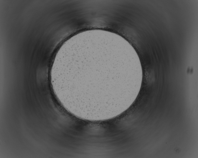 X0000091490534200708301938