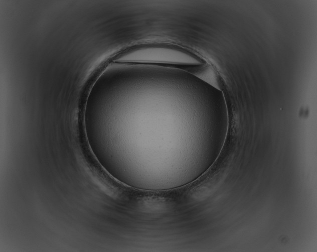 X0000091490535200708301938