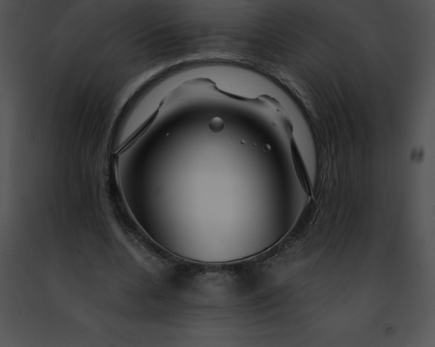 X0000091490536200708301938