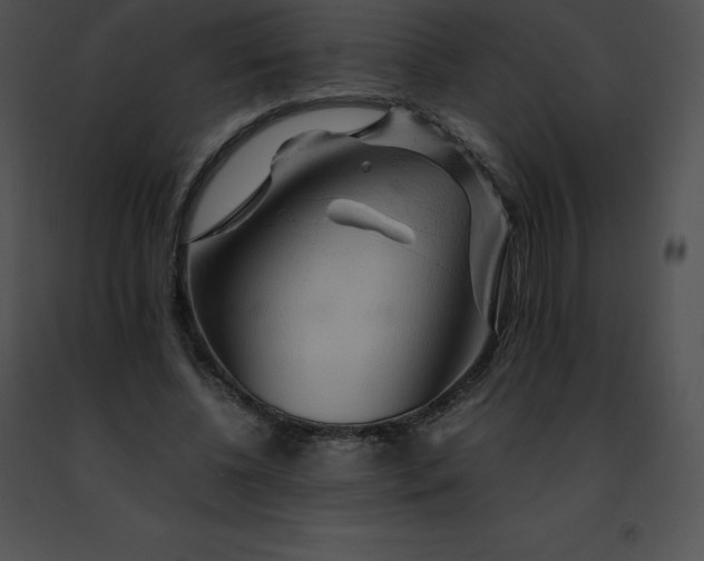 X0000091490540200708301938