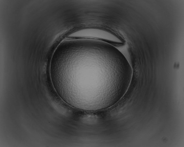 X0000091490543200708301938