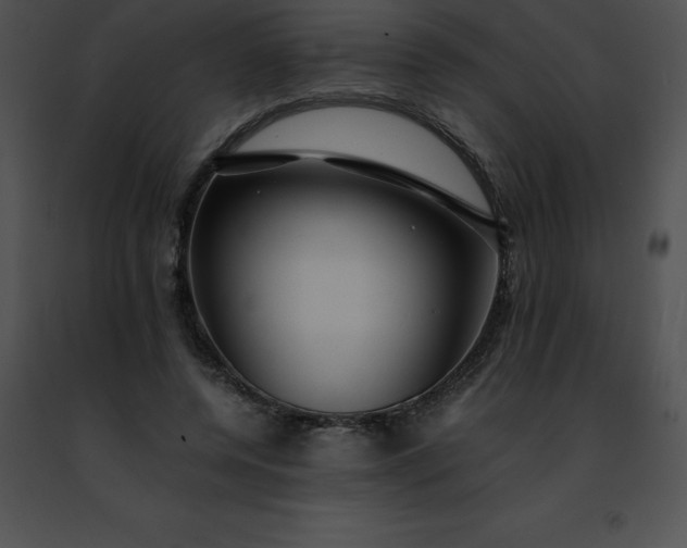 X0000091490544200708301938