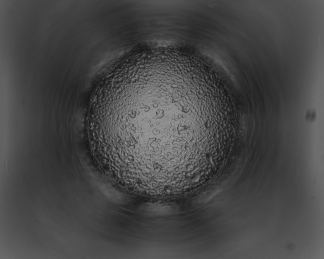 X0000091490545200708301938