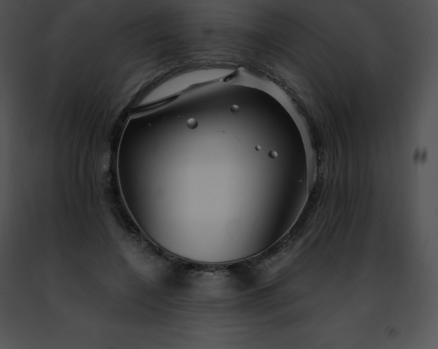 X0000091490548200708301938