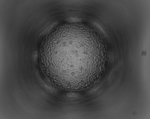 X0000091490549200708301938