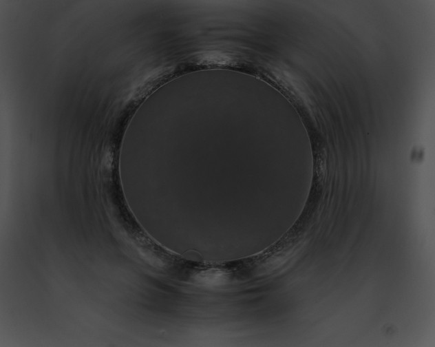 X0000091490551200708301938