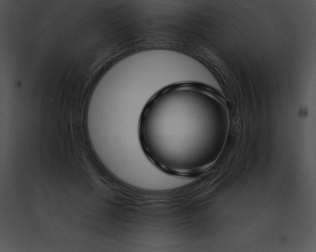 X0000091490552200708301938