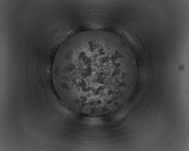 X0000091490553200708301938