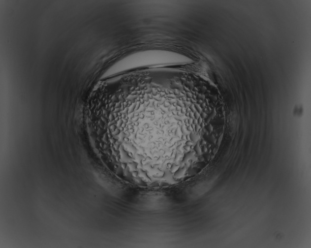 X0000091490554200708301938