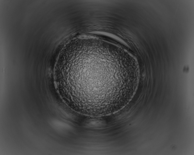 X0000091490555200708301938