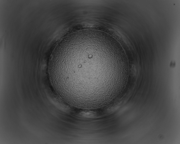 X0000091490557200708301938