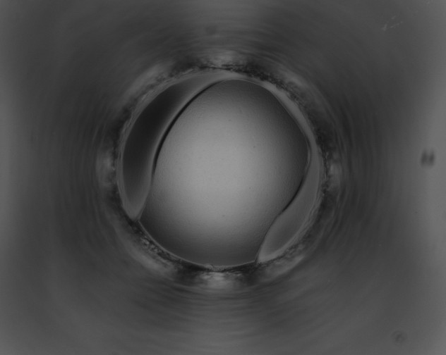 X0000091490558200708301938