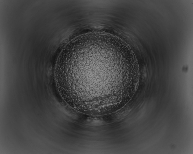 X0000091490559200708301938