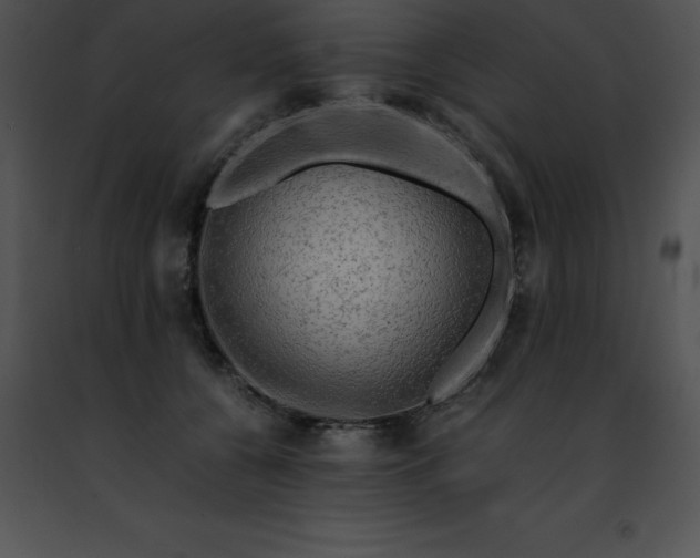 X0000091490560200708301938