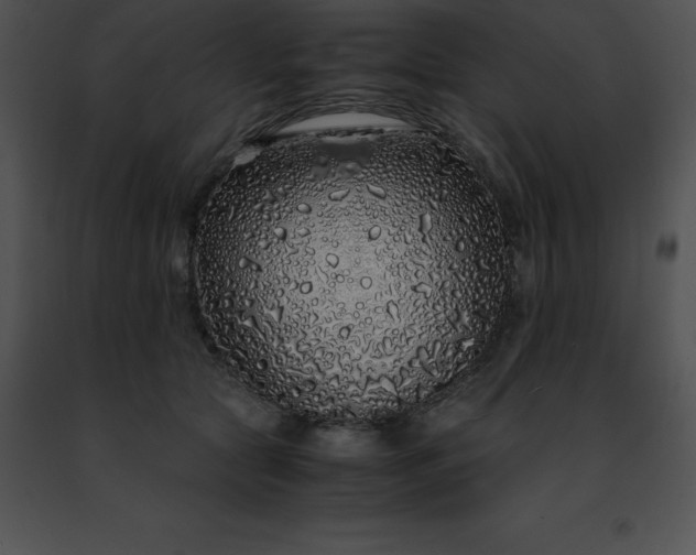 X0000091490561200708301938