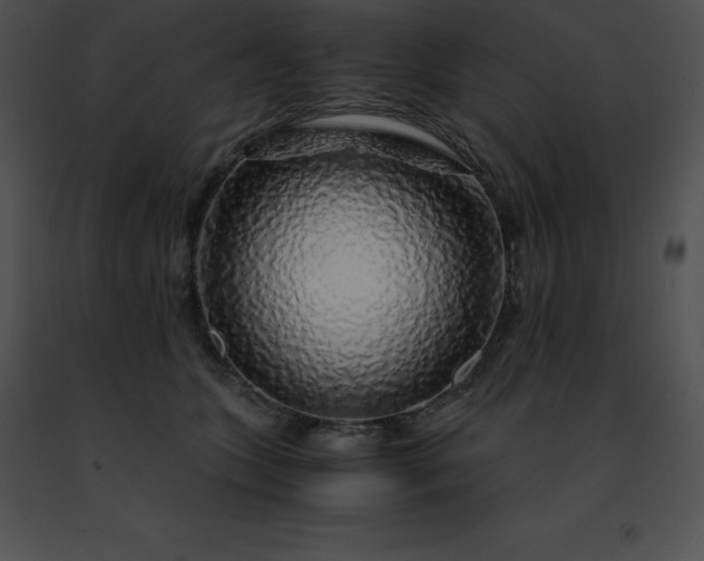 X0000091490563200708301938