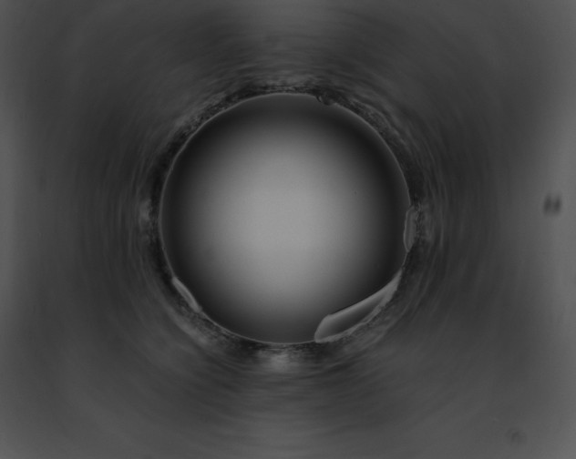 X0000091490564200708301938