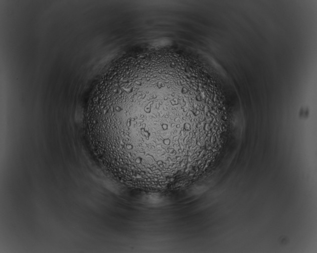 X0000091490565200708301938