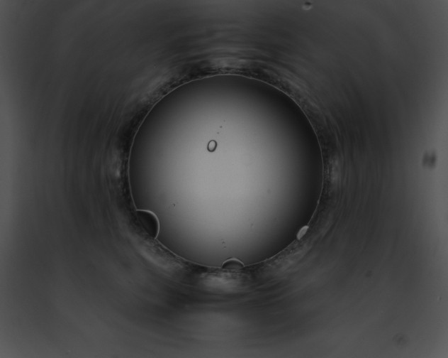 X0000091490567200708301938