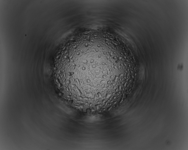 X0000091490569200708301938