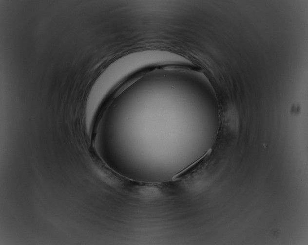 X0000091490572200708301938