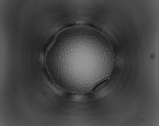 X0000091490575200708301938