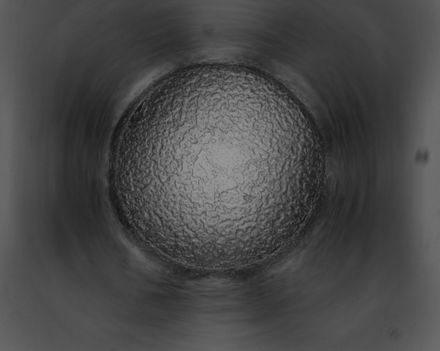 X0000091490578200708301938