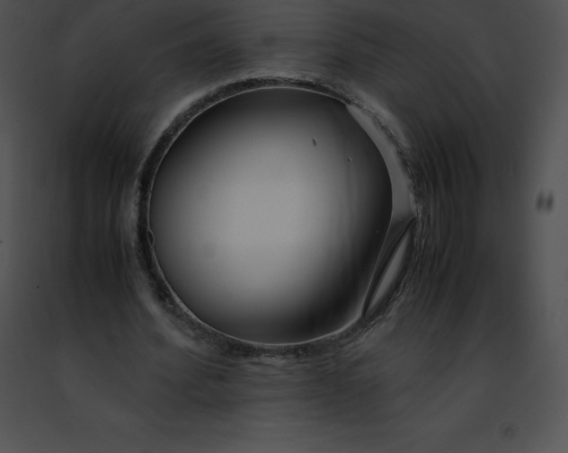 X0000091490580200708301938