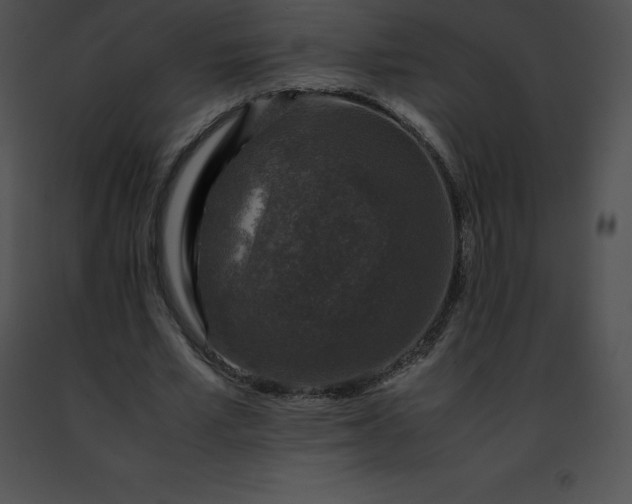 X0000091490581200708301938