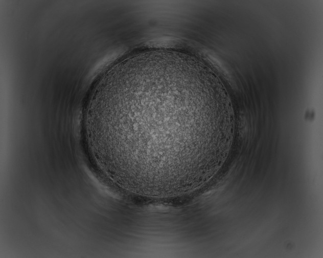 X0000091490586200708301938