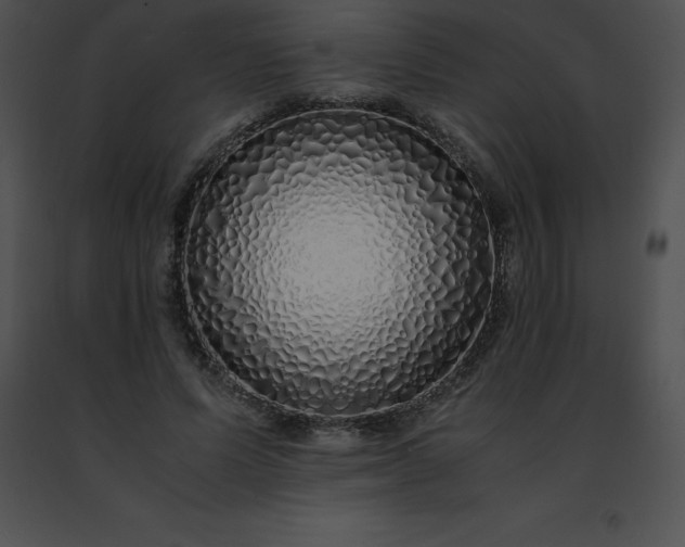 X0000091490591200708301938