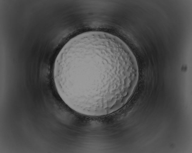 X0000091490592200708301938