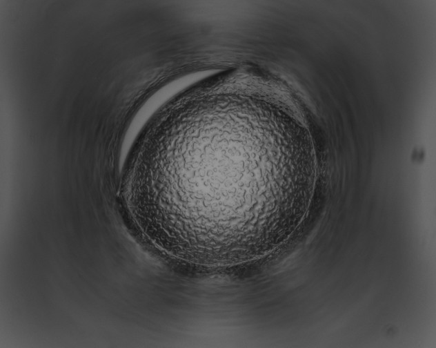 X0000091490593200708301937