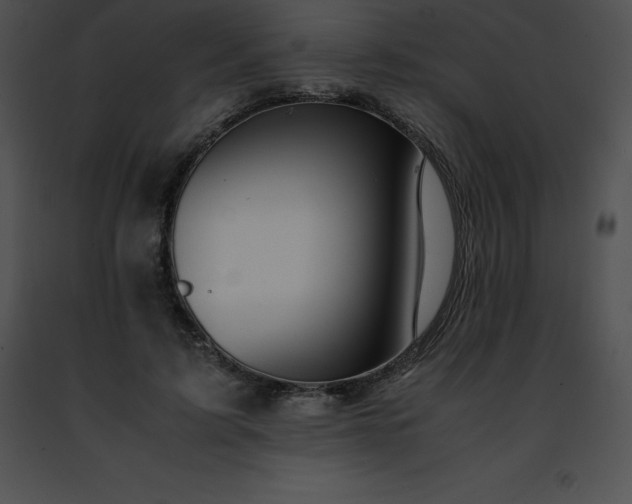 X0000091490595200708301937