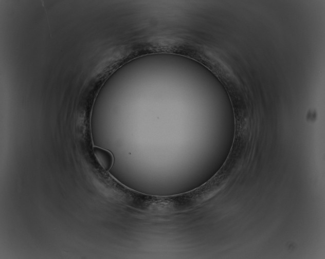 X0000091490599200708301937