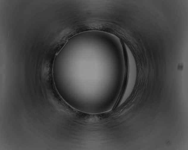 X0000091490600200708301937